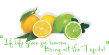 If life gives you lemons... Bring out the Tequila!